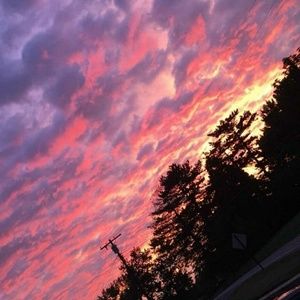 Meet your Posher, Lucy